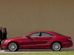Mercedes-Benz CLS350 CDI 2010 года